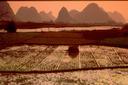 Sunset over rice paddies with karst mountains beyond.